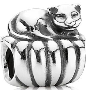 Pandora Cozy Cat Charm